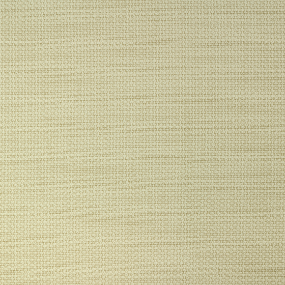 Photo of the fabric Luri 14742 207 swatch by Fischbacher 1819. Use for Accessory. Style of Plain, Texture