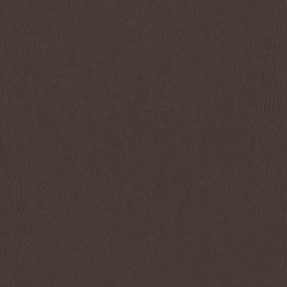 Photo of the fabric Bonanza Pinecone swatch by Zepel. Use for Upholstery. Style of Leather And Vinyl, Plain