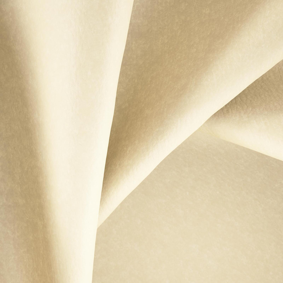 Photo of the fabric Bonanza Sesame swatch by Zepel. Use for Upholstery. Style of Leather And Vinyl, Plain