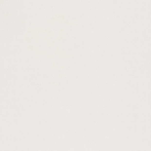 Photo of the fabric Niteflite 150 Snow swatch by Zepel. Use for Curtains, Upholstery, Accessory, Top of Bed. Style of Plain, Taffeta