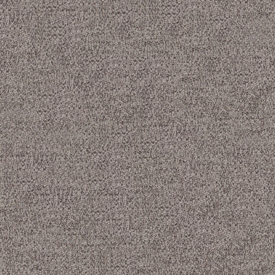 Photo of the fabric Iridium Gargoyle swatch by Zepel. Use for Curtains, Upholstery, Accessory, Top of Bed. Style of Plain, Velvet