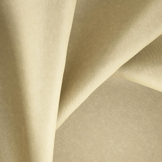 Photo of the fabric Bonanza Seagrass swatch by Zepel. Use for Upholstery. Style of Leather And Vinyl, Plain