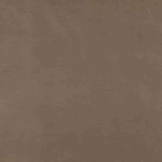 Photo of the fabric Virtuoso Metallic Tannin swatch by Zepel. Use for Upholstery. Style of Leather And Vinyl, Plain