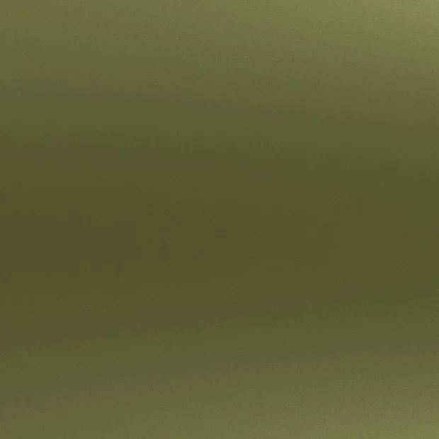 Photo of the fabric Backstop Sage swatch by Zepel. Use for Curtains, Accessory, Top of Bed. Style of Dim Out, Plain