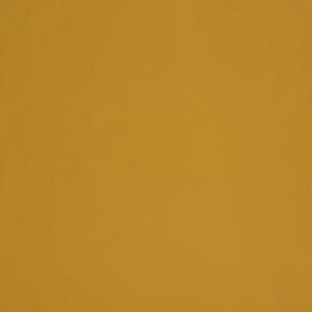 Photo of the fabric Jamila II 14500 163 swatch by Fischbacher 1819. Use for Curtains, Accessory. Style of Plain