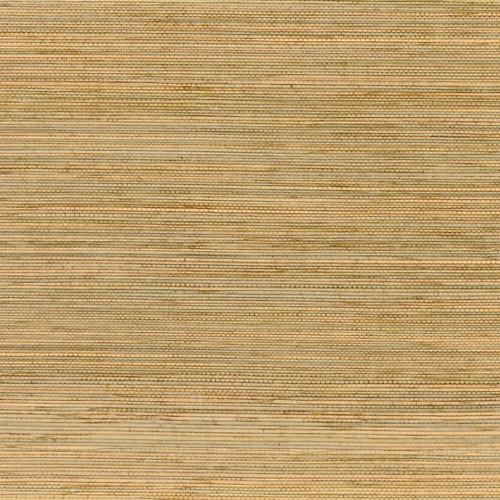 Photo of the fabric Seagrass Wp 7094 1852 swatch by Casamance. Use for Wall Covering