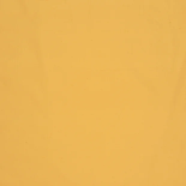 Photo of the fabric Jamila II 14500 133 swatch by Fischbacher 1819. Use for Curtains, Accessory. Style of Plain