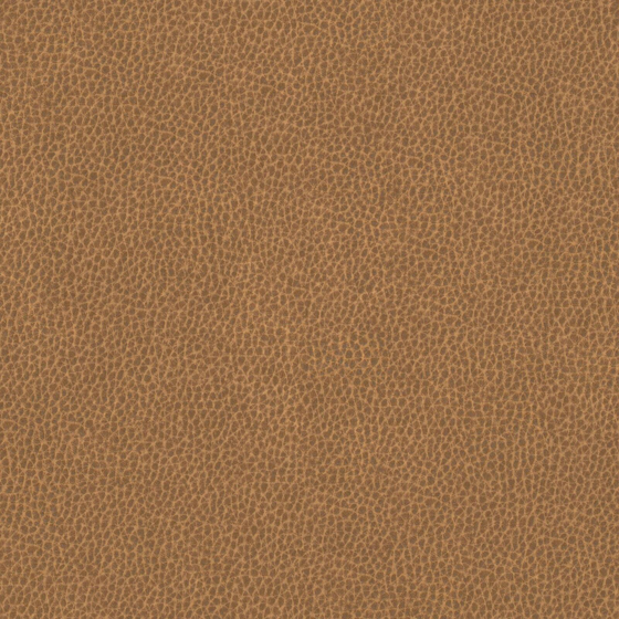 Photo of the fabric Dallas Copper swatch by Zepel. Use for Upholstery. Style of Leather And Vinyl, Plain