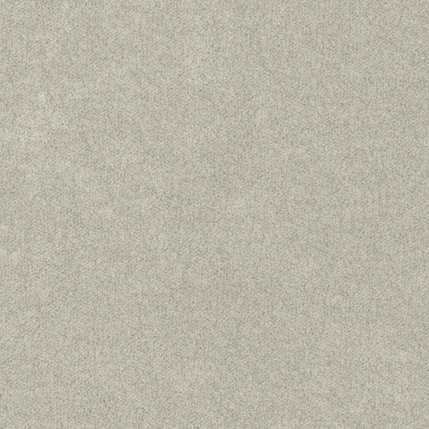 Photo of the fabric Treasure Griffin swatch by Zepel. Use for Curtains, Upholstery, Accessory, Top of Bed. Style of Plain, Velvet