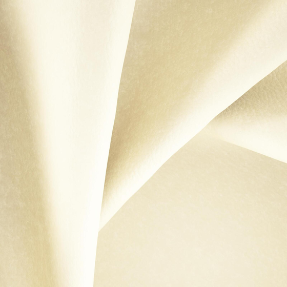 Photo of the fabric Bonanza Greige swatch by Zepel. Use for Upholstery. Style of Leather And Vinyl, Plain