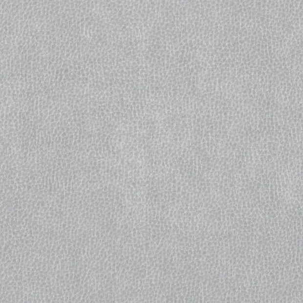 Photo of the fabric Dallas Silver swatch by Zepel. Use for Upholstery. Style of Leather And Vinyl, Plain