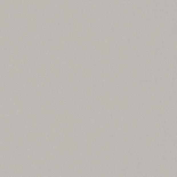 Photo of the fabric Moonbeam Flint swatch by Zepel. Use for Curtains, Upholstery, Accessory, Top of Bed. Style of Plain, Taffeta