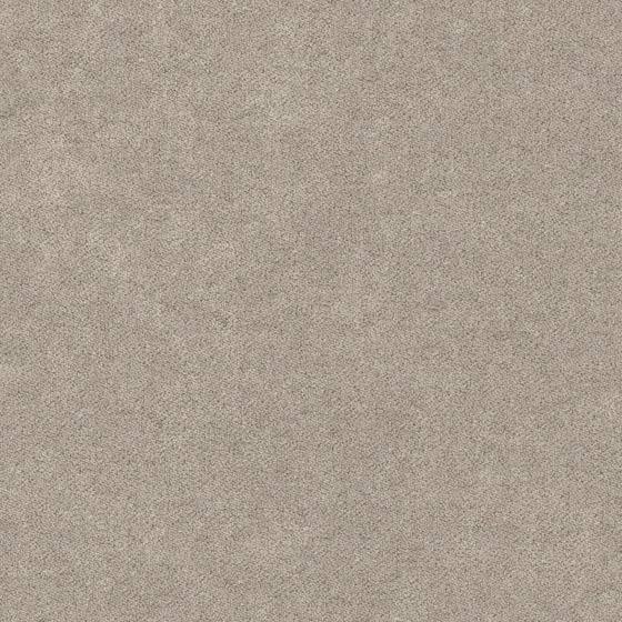 Photo of the fabric Treasure Chinchilla swatch by Zepel. Use for Curtains, Upholstery, Accessory, Top of Bed. Style of Plain, Velvet