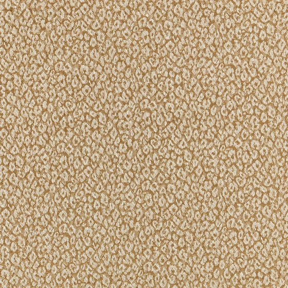 Photo of the fabric Kitty 7998 03 swatch by Romo. Use for Curtains, Upholstery, Accessory. Style of Animals And Birds, Jacquard